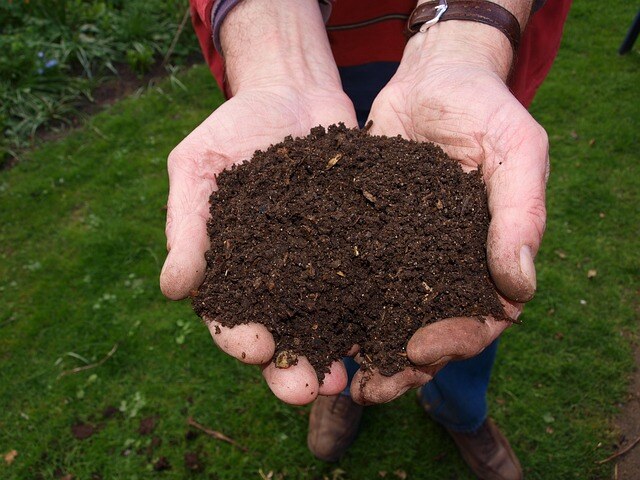 fresh compost